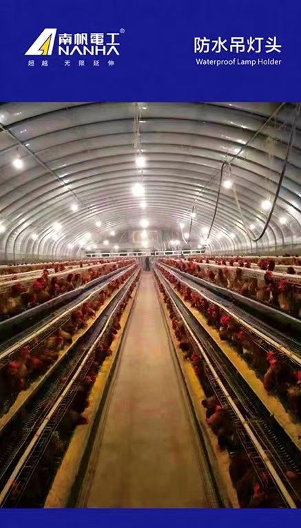南帆DC-01防水吊灯头-5.jpg